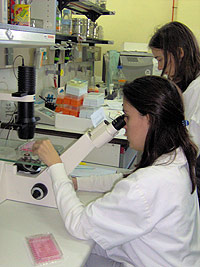 Laboratorios de referencia.