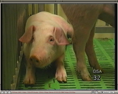 Pulse para ver el vídeo